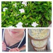 ヒメ日記 2025/06/25 20:30 投稿 美衣(みい) PLUS十三店