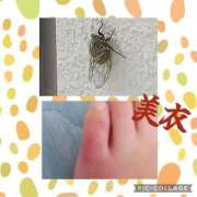 ヒメ日記 2025/07/16 09:34 投稿 美衣(みい) PLUS十三店