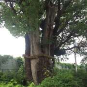 ヒメ日記 2025/09/22 09:58 投稿 美衣(みい) PLUS十三店