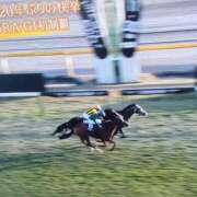 ヒメ日記 2025/11/30 16:28 投稿 美衣(みい) PLUS十三店