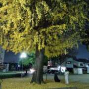 ヒメ日記 2025/12/07 19:48 投稿 美衣(みい) PLUS十三店