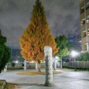 ヒメ日記 2025/12/13 13:36 投稿 美衣(みい) PLUS十三店