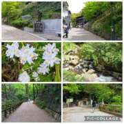 美衣(みい) 歩いた🍀 PLUS十三店