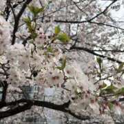 ヒメ日記 2026/04/05 18:20 投稿 なお ロイヤル土佐