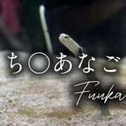 ヒメ日記 2025/08/21 14:22 投稿 双葉 ふうか 搾精研究所