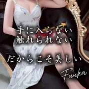 ヒメ日記 2025/11/14 19:29 投稿 双葉 ふうか 搾精研究所