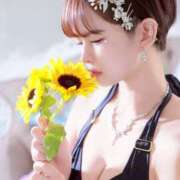 ヒメ日記 2026/01/17 20:48 投稿 双葉 ふうか 搾精研究所