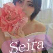 ヒメ日記 2025/05/06 10:05 投稿 橘 せいら 搾精研究所