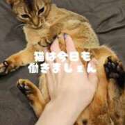 ヒメ日記 2025/06/17 10:45 投稿 橘 せいら 搾精研究所