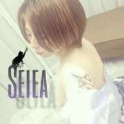 ヒメ日記 2025/10/28 07:09 投稿 橘 せいら 搾精研究所