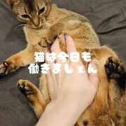 ヒメ日記 2026/03/19 17:08 投稿 橘 せいら 搾精研究所