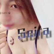 ヒメ日記 2026/04/03 08:18 投稿 橘 せいら 搾精研究所