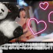 ヒメ日記 2026/04/07 14:18 投稿 神崎 くみ 搾精研究所