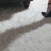 ヒメ日記 2026/04/11 11:28 投稿 神崎 くみ 搾精研究所