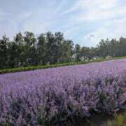 ヒメ日記 2025/07/10 19:09 投稿 ますみ 出会い系人妻ネットワーク 上野〜大塚編