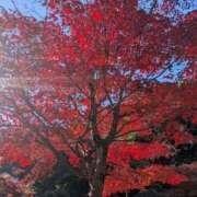 ヒメ日記 2025/11/28 19:35 投稿 ますみ 出会い系人妻ネットワーク 上野〜大塚編