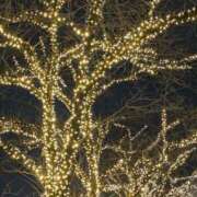 ヒメ日記 2025/12/20 19:51 投稿 ますみ 出会い系人妻ネットワーク 上野〜大塚編