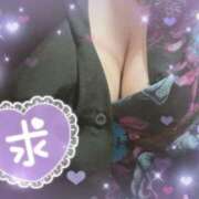 ヒメ日記 2025/05/24 11:02 投稿 美雨☆ 豊橋豊川ちゃんこ