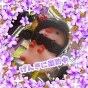 ヒメ日記 2025/06/27 17:22 投稿 美雨☆ 豊橋豊川ちゃんこ