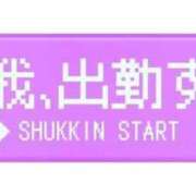 ヒメ日記 2025/11/21 14:12 投稿 美雨☆ 豊橋豊川ちゃんこ