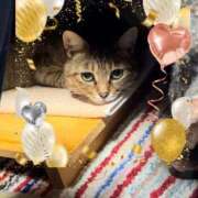 ヒメ日記 2025/07/21 19:31 投稿 柳瀬みれい メンズエステ葛西＠彼女はエステシャン