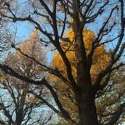 ヒメ日記 2025/12/11 19:14 投稿 柳瀬みれい メンズエステ葛西＠彼女はエステシャン