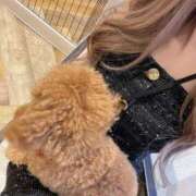 ヒメ日記 2025/06/20 02:22 投稿 月城れお BLENDA V.I.P東京店