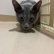 ヒメ日記 2026/03/24 19:28 投稿 ゆづき ハピネス＆ドリーム 松山道後温泉