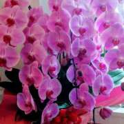 ヒメ日記 2025/05/13 09:03 投稿 ぼたん 熟女の風俗最終章 相模原店