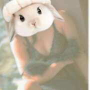 ヒメ日記 2025/05/07 10:50 投稿 ぼたん 熟女の風俗最終章 町田店