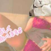 ヒメ日記 2025/05/09 00:20 投稿 ぼたん 熟女の風俗最終章 町田店