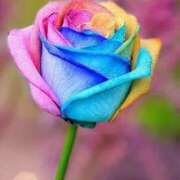 ヒメ日記 2025/05/10 20:01 投稿 ぼたん 熟女の風俗最終章 町田店