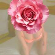 ヒメ日記 2025/06/19 15:20 投稿 ぼたん 熟女の風俗最終章 町田店