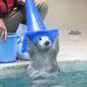 ヒメ日記 2025/08/11 13:27 投稿 りりか 推しの娘