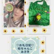 ヒメ日記 2025/07/12 01:29 投稿 みさき 千葉柏ちゃんこ