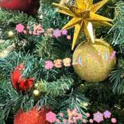 みさき まだいまーーーーす！！笑 千葉柏ちゃんこ