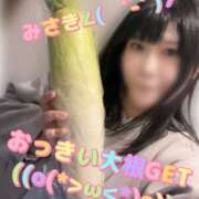 ヒメ日記 2025/12/17 06:25 投稿 みさき 千葉柏ちゃんこ