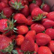 ヒメ日記 2026/04/21 14:19 投稿 こはる モアグループ熊谷人妻花壇