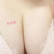 ヒメ日記 2026/05/17 13:29 投稿 れんな 白いぽっちゃりさん五反田店