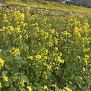 ヒメ日記 2026/03/13 14:04 投稿 平井えり プランタン大塚