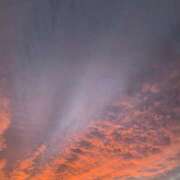 ヒメ日記 2025/11/04 13:26 投稿 せいあ 奥様はエンジェル　八王子店