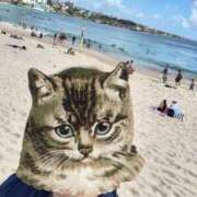 ヒメ日記 2025/12/27 14:58 投稿 せいあ 奥様はエンジェル　八王子店