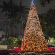 ヒメ日記 2025/12/28 13:34 投稿 せいあ 奥様はエンジェル　八王子店