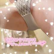 ヒメ日記 2025/08/11 14:31 投稿 ひより【FG系列】 ハンドdeフィーリングin横浜（FG系列）