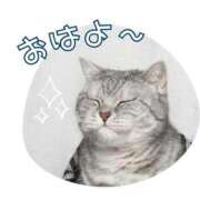 ヒメ日記 2025/05/26 11:49 投稿 なお 錦糸町人妻ヒットパレード（シンデレラグループ）