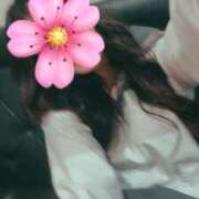 ヒメ日記 2025/11/07 12:33 投稿 はるか 2980円