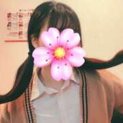 ヒメ日記 2025/11/20 14:03 投稿 はるか 2980円