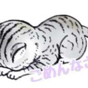 みるく 〜おやすみ〜 ちゃんこ本厚木店