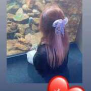 ヒメ日記 2025/10/14 02:56 投稿 なみ 埼玉熊谷ちゃんこ