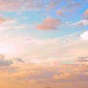 ヒメ日記 2025/05/23 13:47 投稿 のぞみ スピード日本橋店